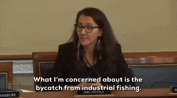 Fishing Bycatch GIF by GIPHY News