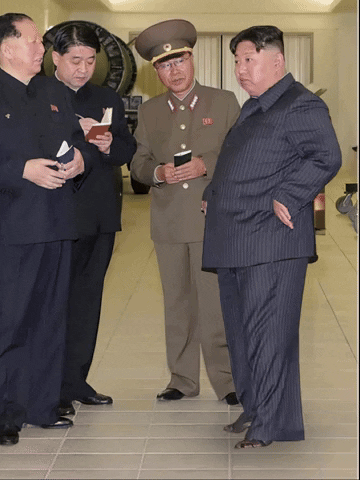 North Korea Kim GIF by David Firth