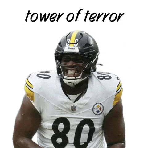 Pittsburgh Steelers GIF