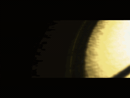 Hernanduque GIF