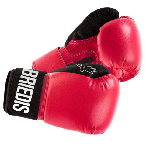 Boxing Briedis Sticker by LIVE RIGA