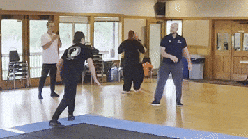 Martial Arts Taichi GIF by Steelyard Tai Chi
