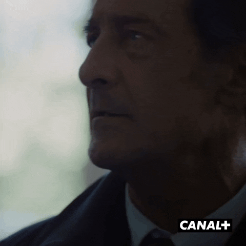 Angry Vincent Lindon GIF by CANAL+