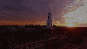 Big 12 College GIF by Oklahoma State University