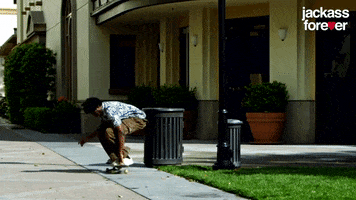 Paramount Pictures Fall GIF by Jackass Forever