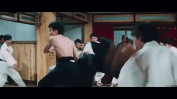 Martial Arts Fighting GIF