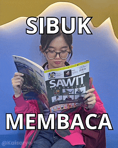 Sawit Cella GIF
