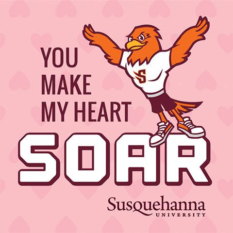 Valentines Day Hearts GIF by Susquehanna University