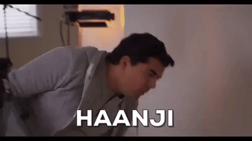 South Asian India GIF by Welcome To Surrey