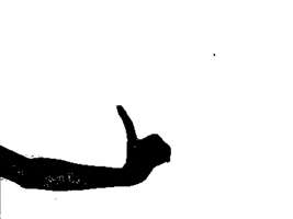 Dance Hand GIF