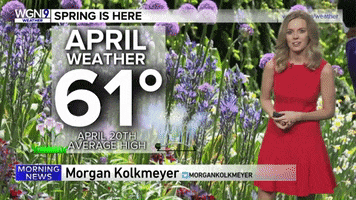 chicago spring GIF by WGN Morning News