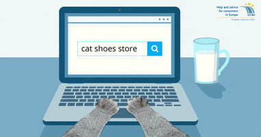 online store cat GIF by European Consumer Centre Poland