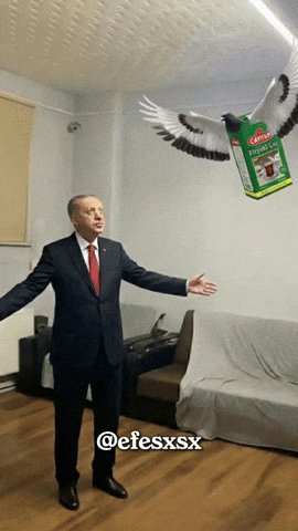 Dance Bird GIF