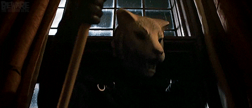 Image result for you're next film gif"