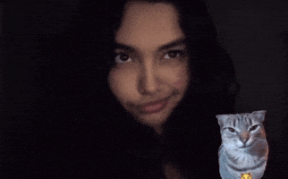 Bangladesh Bangla GIF