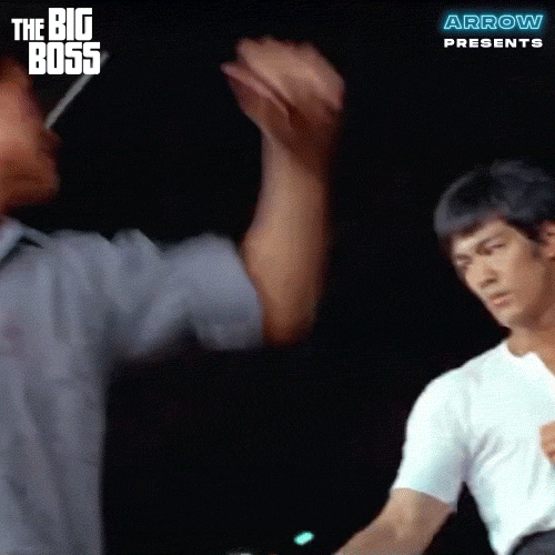 Try Again Martial Arts GIF by Arrow Video