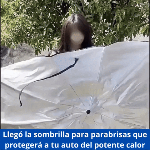 GIF animado