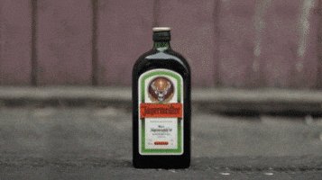 Jager GIF by Jägermeister