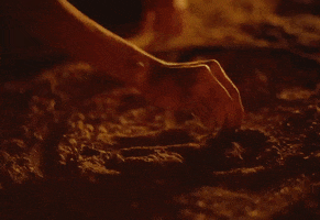 200.gif?cid=fc005b08f4699df972355a43dbbab2ba8ac589b134e080e1&rid=200.gif&ct=g
