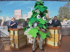 Espn Stanford GIF by College GameDay