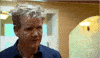 gordon ramsay facepalm GIF