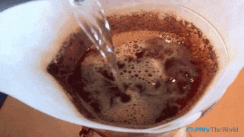pour over wake up GIF by PRI