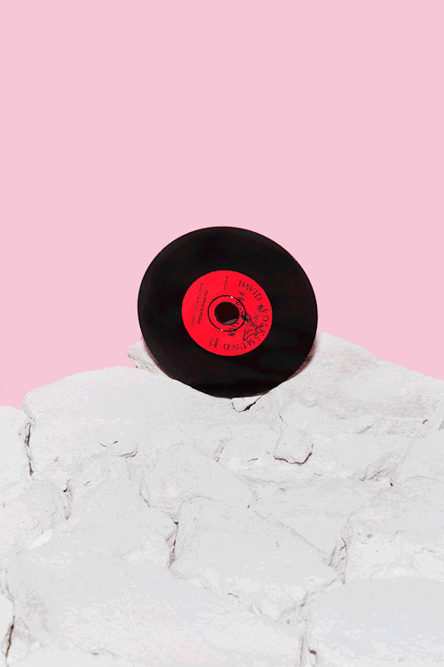 Farriswheelrecordings GIFs Get the best GIF on GIPHY