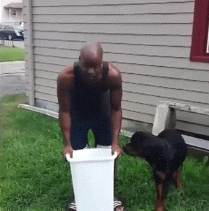 fail ice bucket challenge GIF