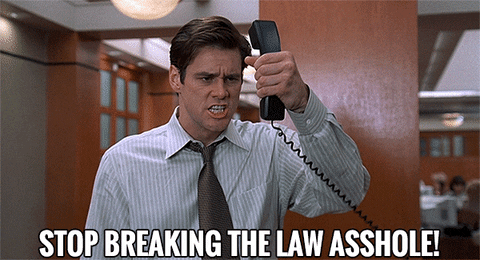 Liar Liar Stop Breaking The Law Asshole GIF by Jerology
