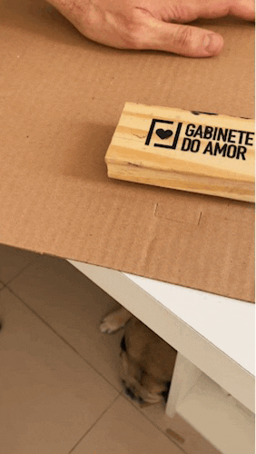 Gabinete do Amor Estampas GIF
