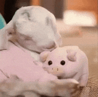 Baby Goat Reaction GIF by MOODMAN