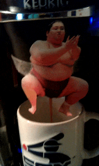 Sumo Gifs Get The Best Gif On Giphy Sumo Gifs Get The Best Gif On Giphy