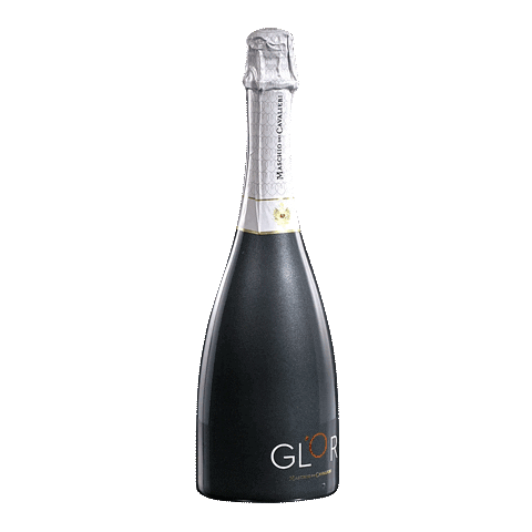 Party Sparkling Sticker by Cantine Riunite & Civ