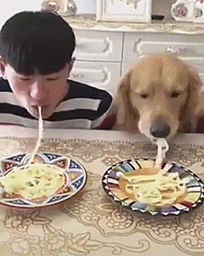 competition eating GIF