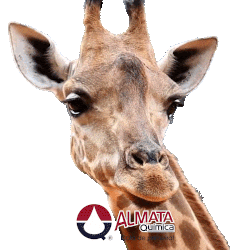 Almata Química Sticker