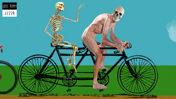 Skull Bicycle GIF by joelremygif