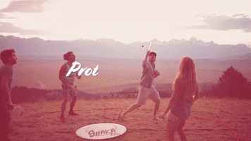 Beachgame Shakaball GIF