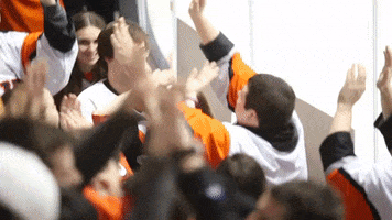 Hockey College GIF by Rochester Institute of Technology