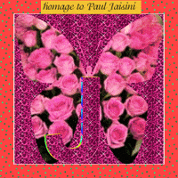 pink rose love GIF by Re Modernist