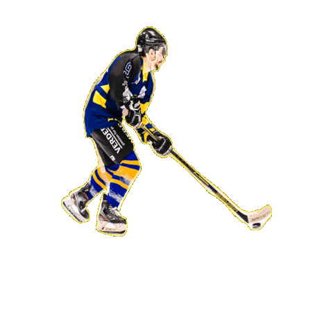 BergischRaptors Sticker