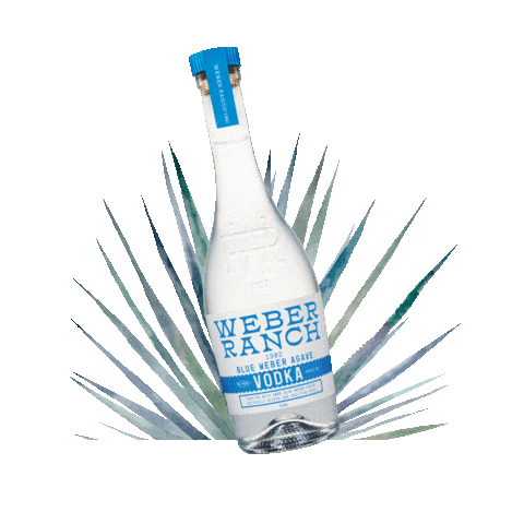 Weber Ranch Vodka Sticker