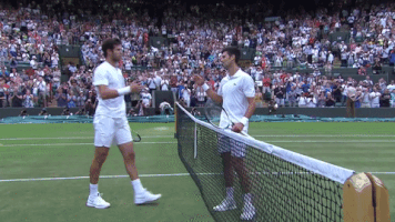 tennis hug GIF by Wimbledon
