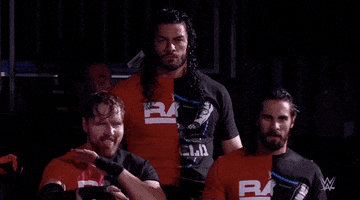 the shield sport GIF by WWE