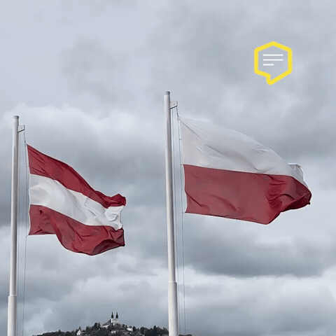 Flag City GIF by Linz News