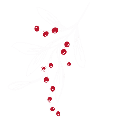 Christmas Holiday Sticker