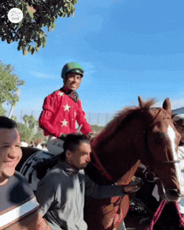 GIF by World Horse Racing