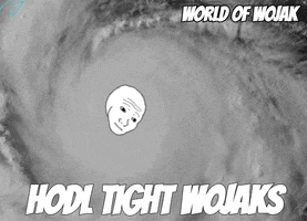 Hold Tight Doomer GIF by World of Wojak