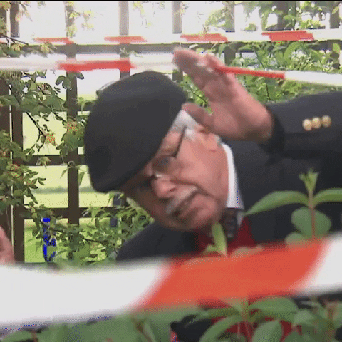 giphy.gif?cid=6c09b95221wp0vo8rgr0gyttjy9aerj2izg6swa8ao5i8b02&ep=v1_internal_gif_by_id&rid=giphy.gif&ct=g