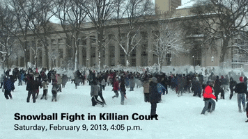 massachusetts institute of technology snowball fight GIF by MIT
