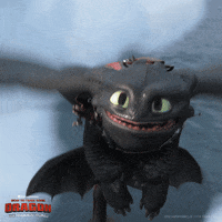 httyd GIF by How To Train Your Dragon